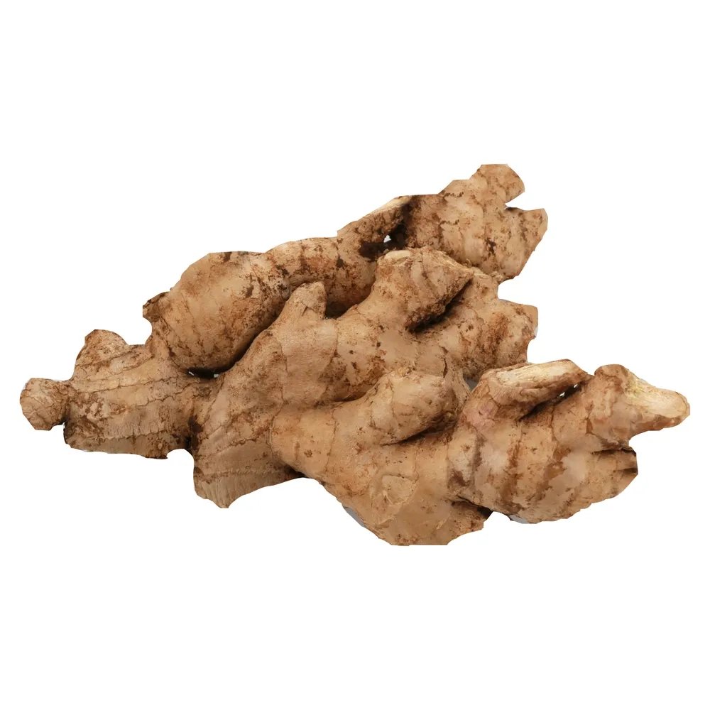 Jengibre